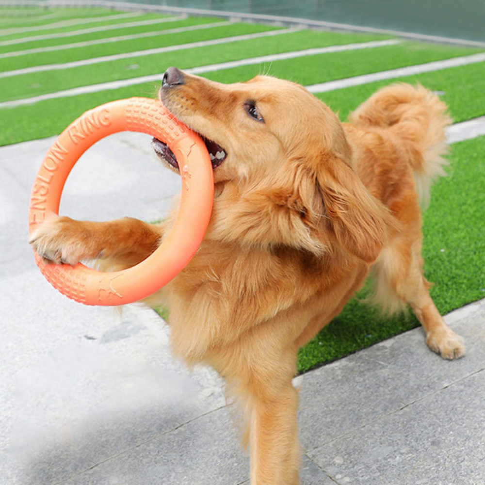 1pc Orange Dog Toys Pet Flying - Flying Disc Dog Training Toy review and price