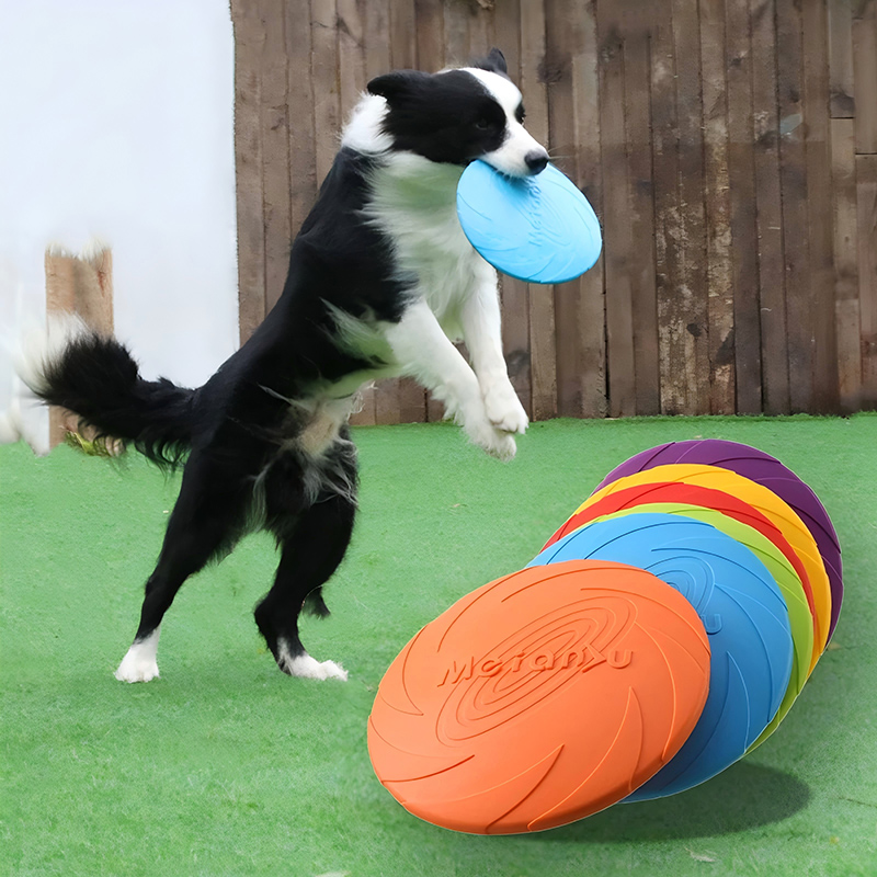 Silicone Flying Disc Toys Mult - Flying Disc Dog Training Toy review and price
