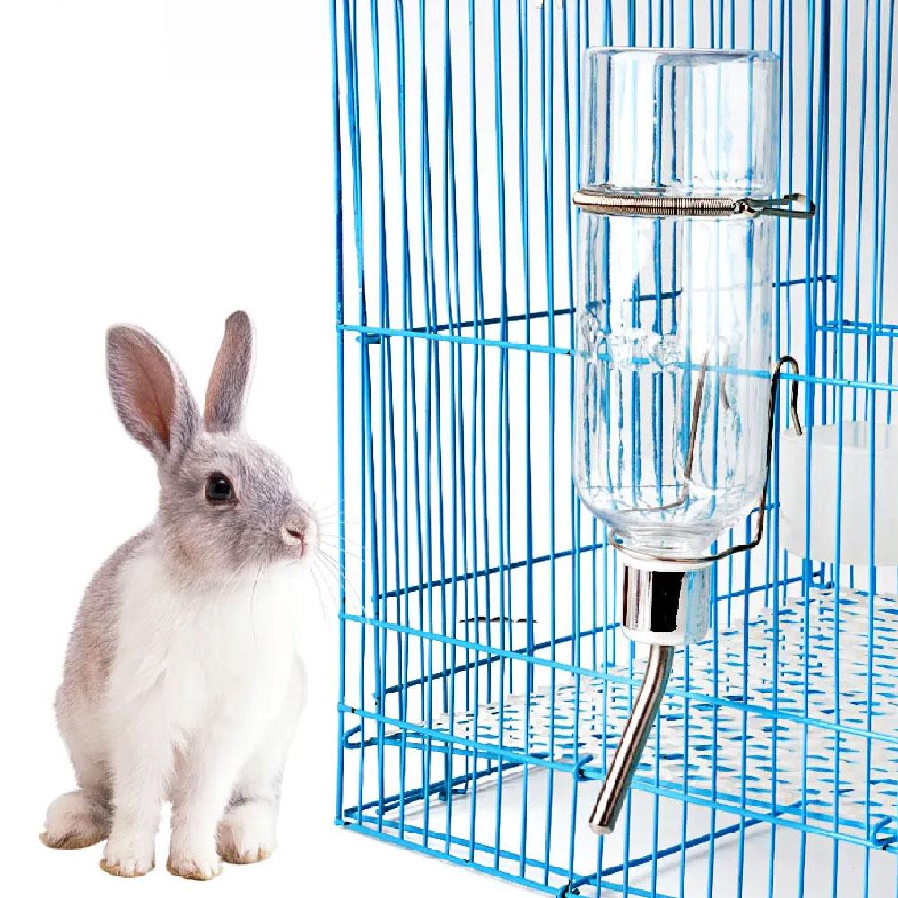 350ml Stainless Steel Pet Wate - Pet Feeders review and price