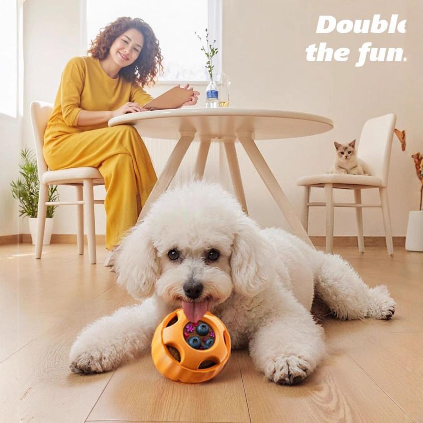 Treat Dispensing Dog Toys Dog  - Dog Puzzle Feeder Toy review and price