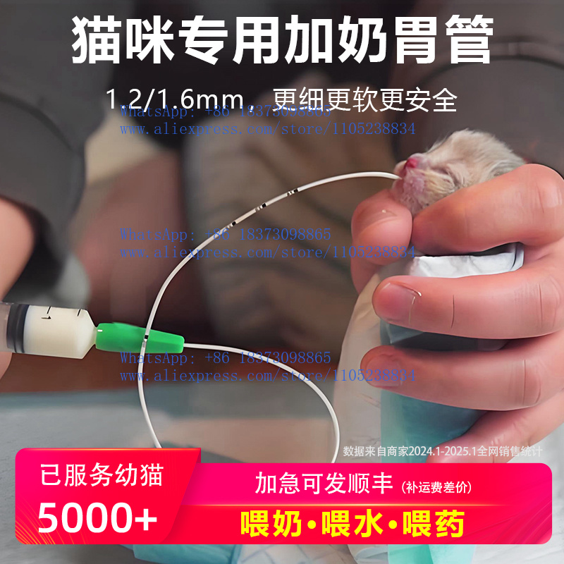 5Pcs cat pet gastric tube nasa - Pet Feeders review and price