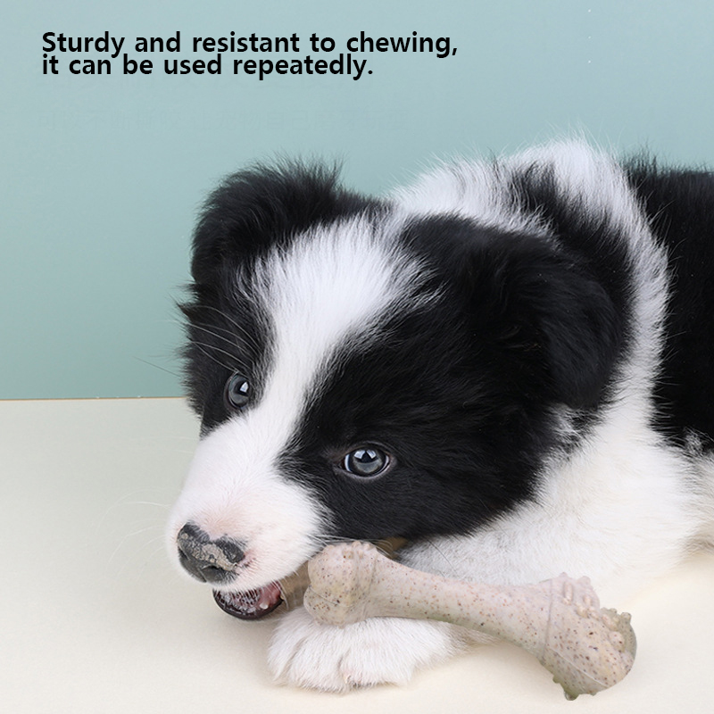 12cm Pet Toys Dog Tooth Cleani - Teeth Cleaning Dog Chew Bone review and price