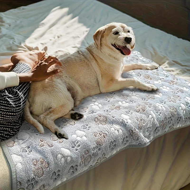 Comfortable Pet Towel Soft War - Pet Beds review and price