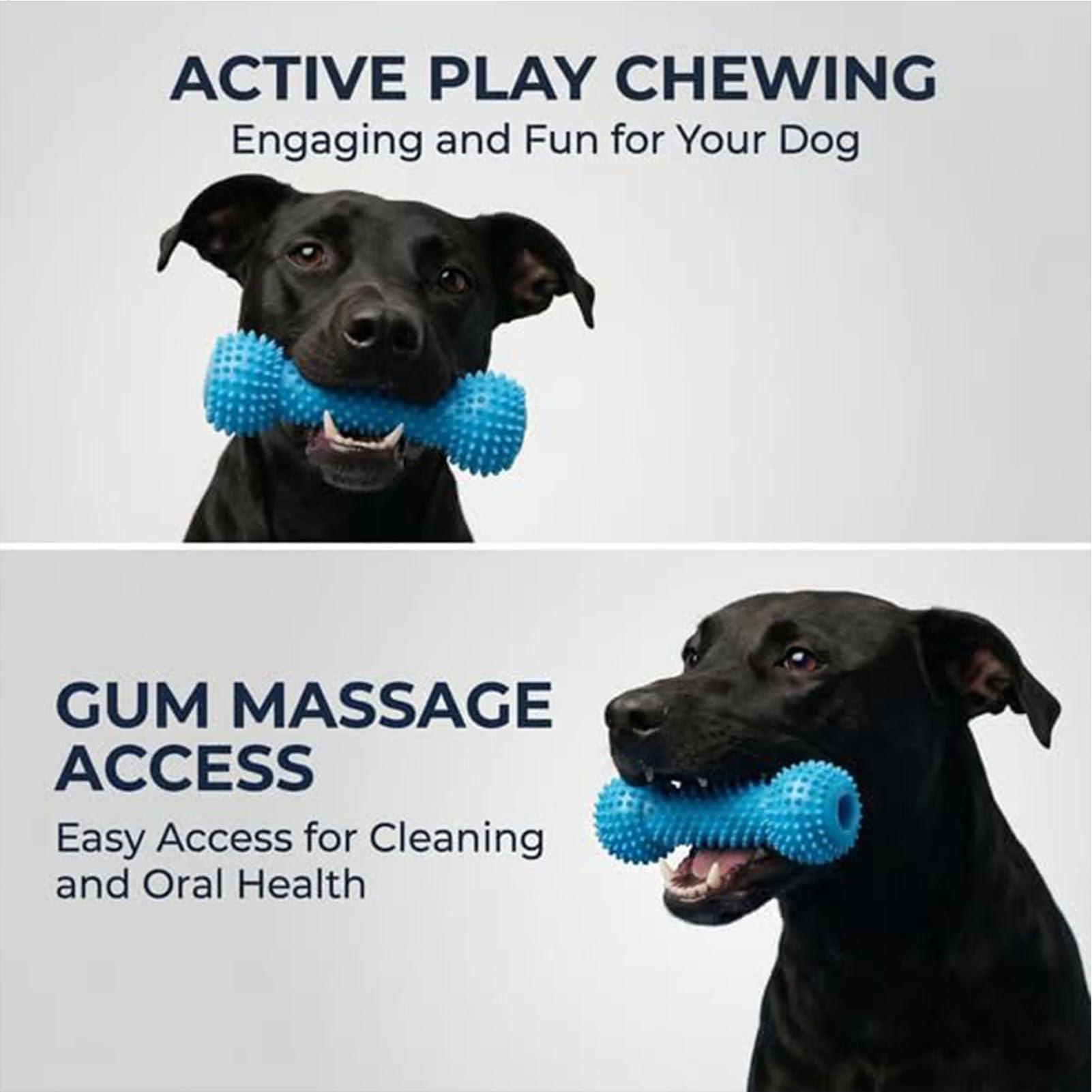 Dog Toothbrushing Toys Chewer  - Interactive Squeaky Plush Dog Toy review and price