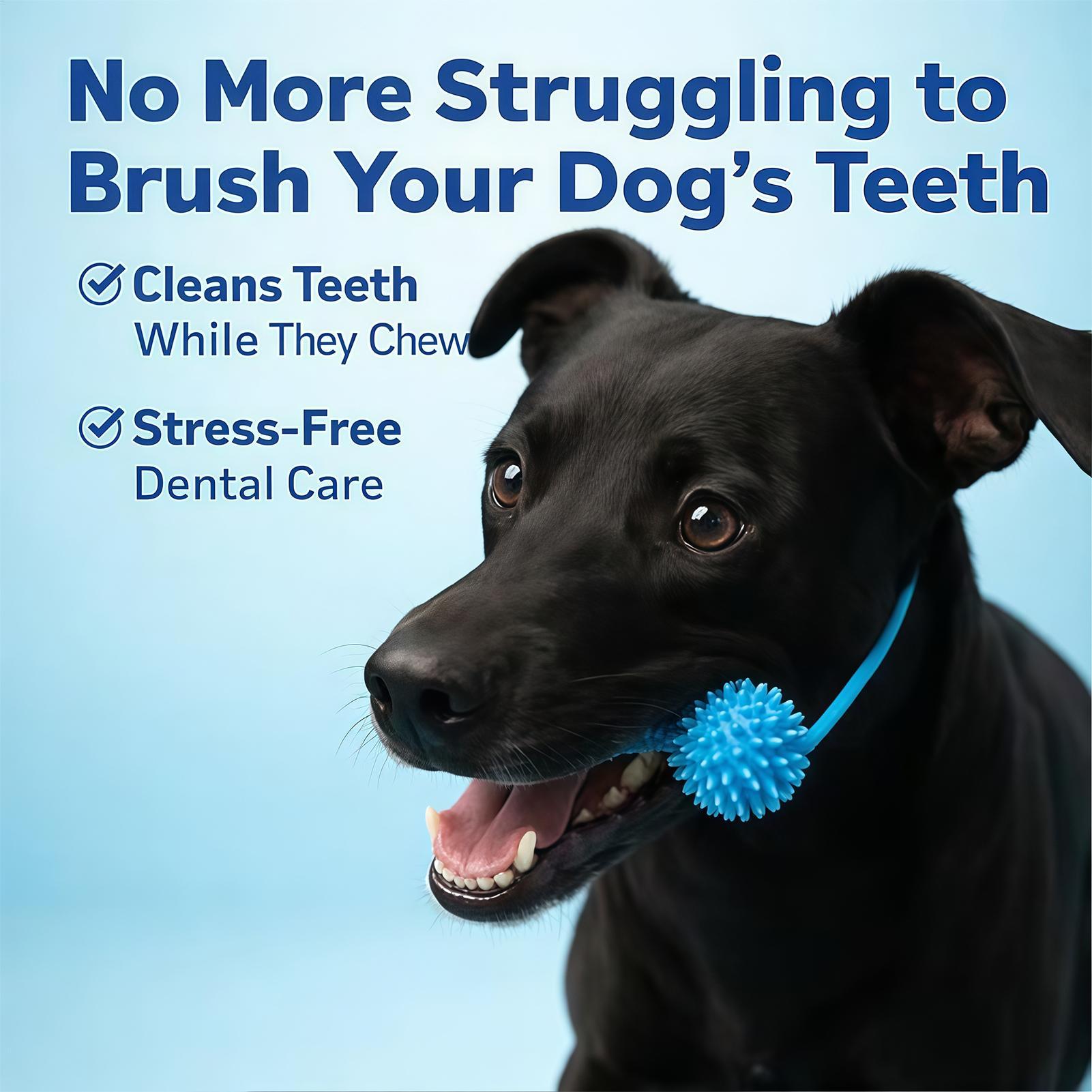 Dog Toothbrushing Toys Chewer  - Interactive Squeaky Plush Dog Toy review and price