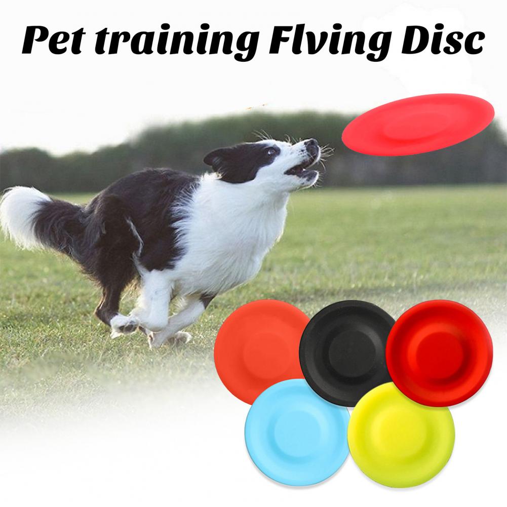 Pet Dog Flying Disk Toy，Silica - Flying Disc Dog Training Toy review and price